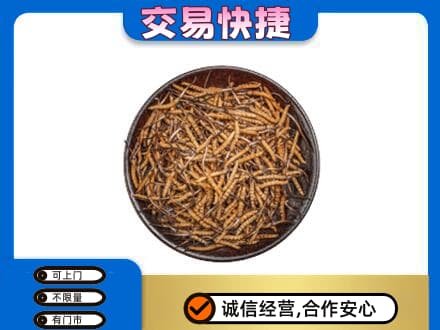 邢台任泽区高价回收散虫草